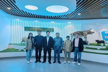 图片6 图片6