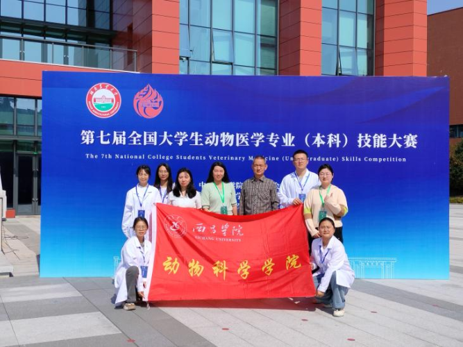 图片5