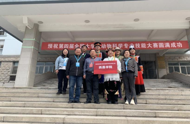 图片10 图片10