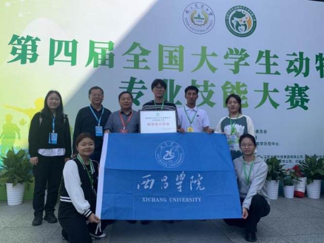 图片11 图片11