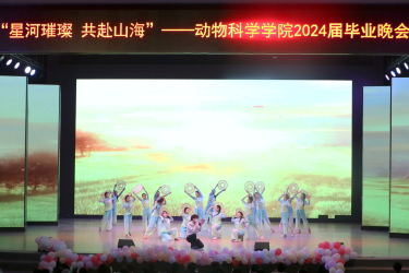 图片6