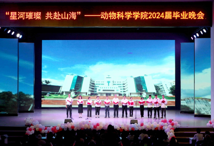 图片10