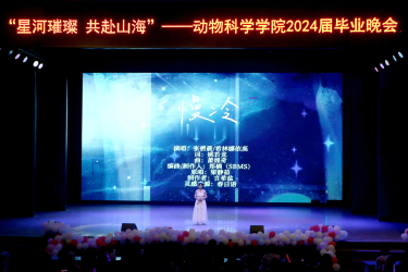 图片14