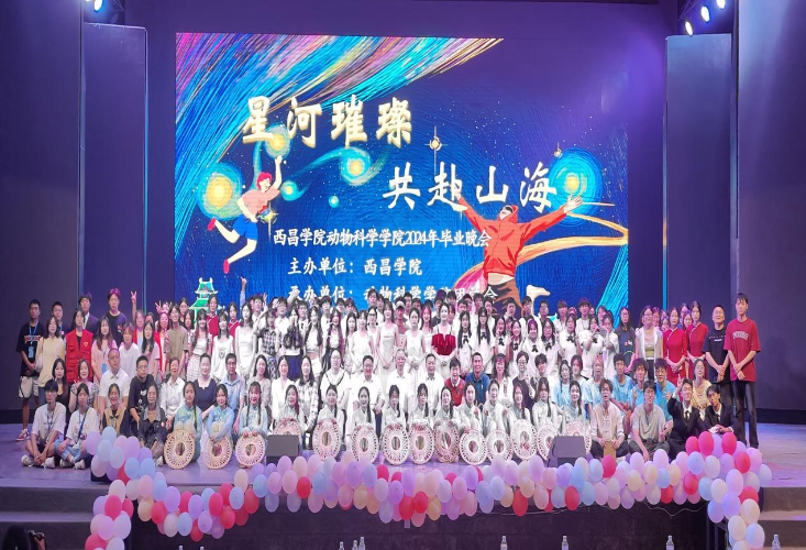 图片17