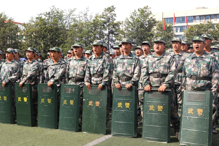 图片9 图片9