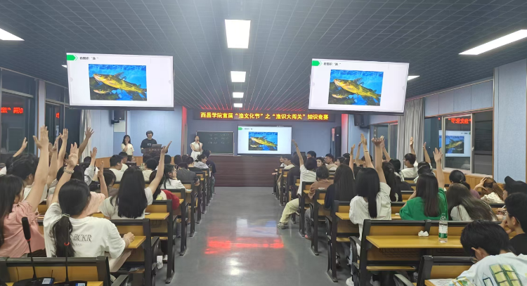 图片3 图片3