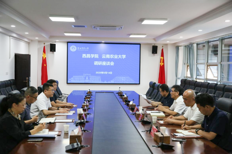图片2 图片2