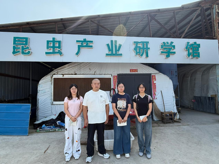 图片2 图片2