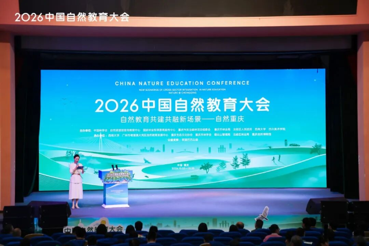 图片6 图片6