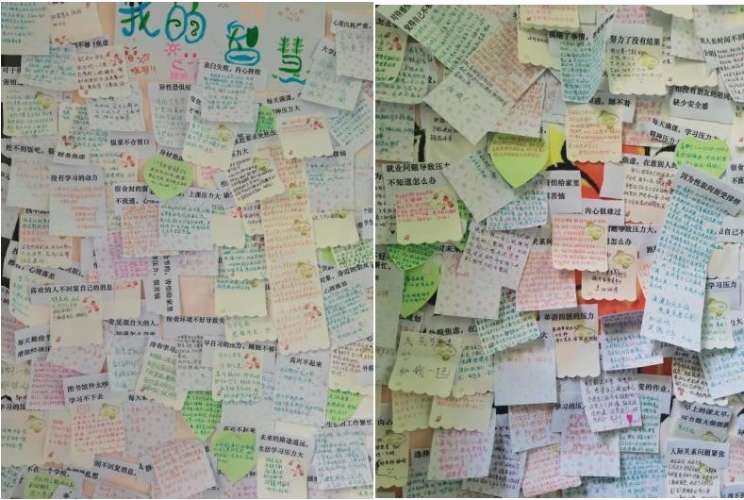 360截图20231024114926886 360截图20231024114926886