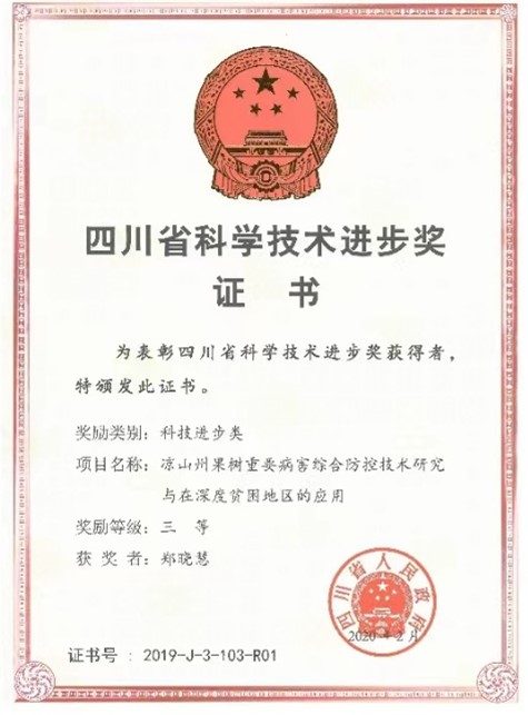 科技成果奖-2