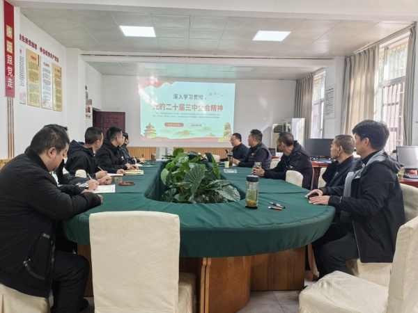 图片1 图片1