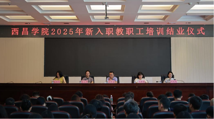 图片11 图片11
