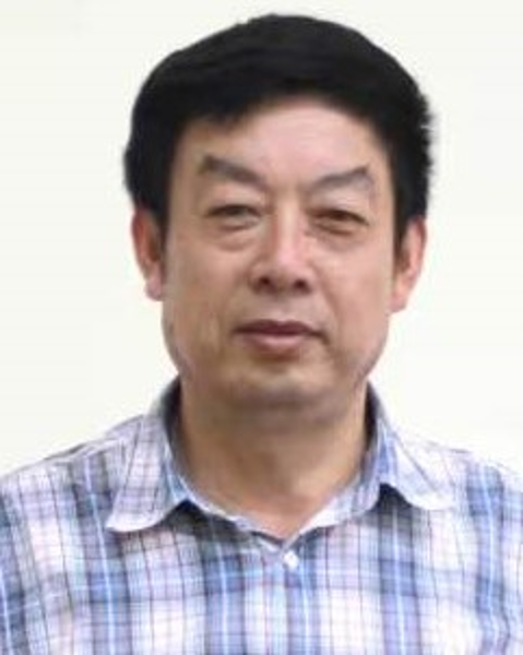 图片7 图片7