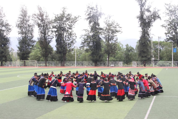 图片4 图片4
