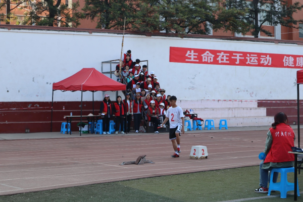 图片13
