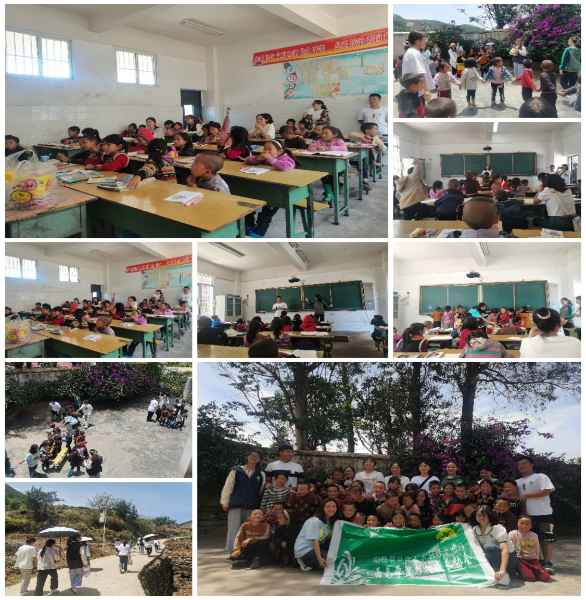图片3