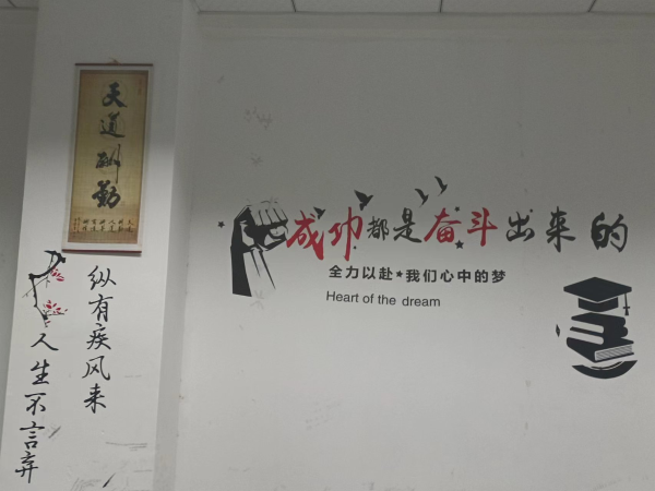 图片17