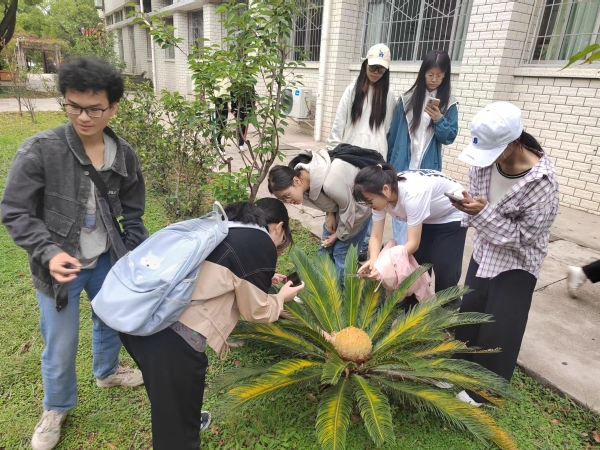 4-4校园园林植物观察及教师沿途讲解